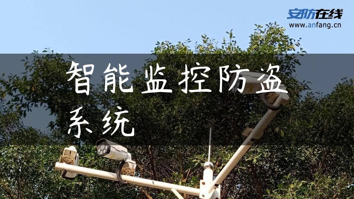 智能监控防盗系统