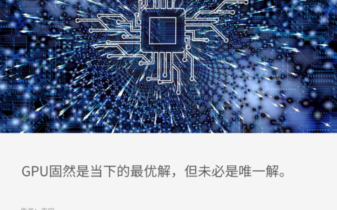 各类算力芯片，如何繁荣生长？