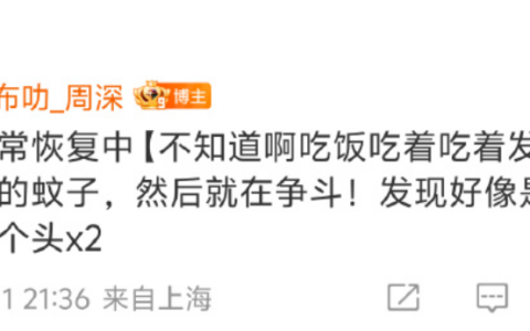 智慧城市科技赋能 科学防治白蚁保民生