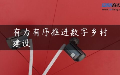 有力有序推进数字乡村建设
