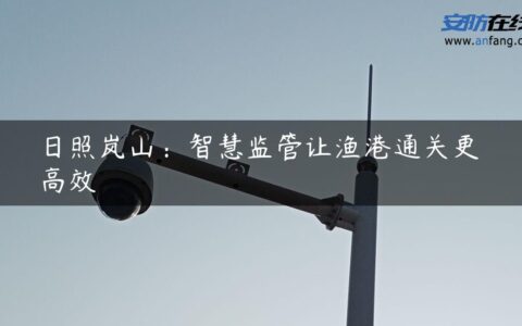 日照岚山：智慧监管让渔港通关更高效