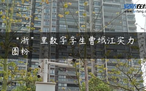 “浙”里数字孪生曹娥江实力圈粉