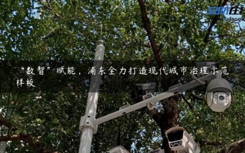 “数智”赋能，浦东全力打造现代城市治理示范样板