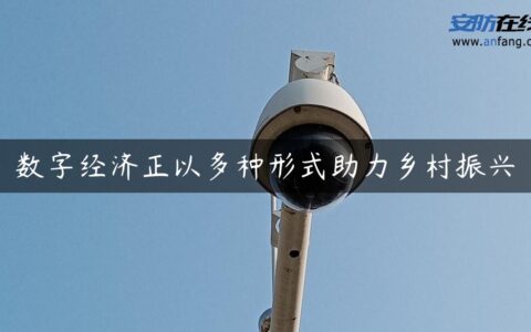 数字经济正以多种形式助力乡村振兴