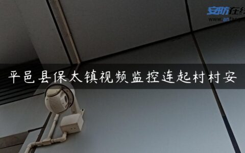 平邑县保太镇视频监控连起村村安
