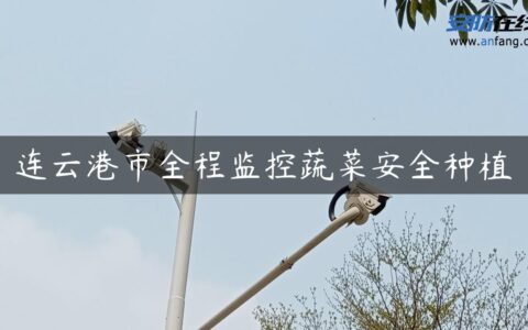 连云港市全程监控蔬菜安全种植