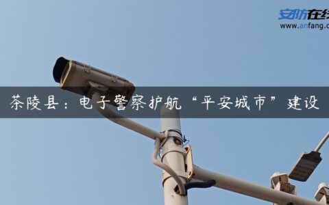 茶陵县：电子警察护航“平安城市”建设