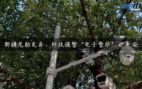 新疆尼勒克县：科技强警“电子警察”护平安