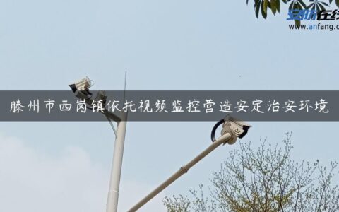 滕州市西岗镇依托视频监控营造安定治安环境