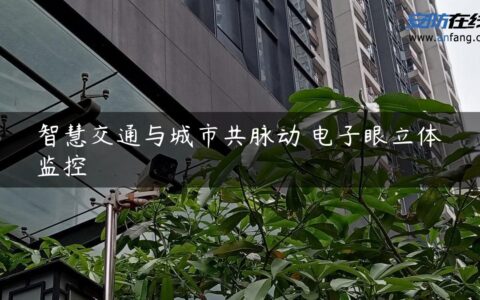 智慧交通与城市共脉动 电子眼立体监控