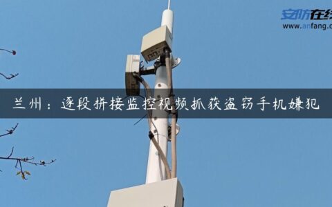 兰州：逐段拼接监控视频抓获盗窃手机嫌犯