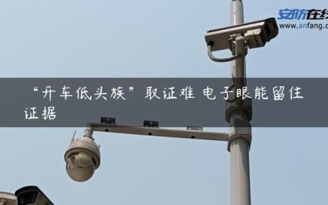 “开车低头族”取证难 电子眼能留住证据