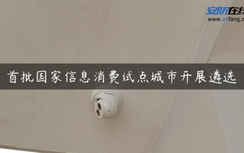 首批国家信息消费试点城市开展遴选