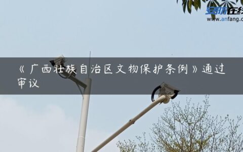 《广西壮族自治区文物保护条例》通过审议