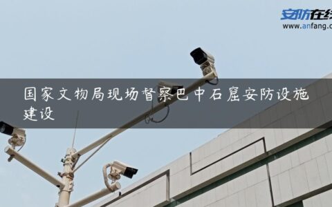 国家文物局现场督察巴中石窟安防设施建设