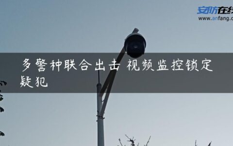 多警种联合出击 视频监控锁定疑犯