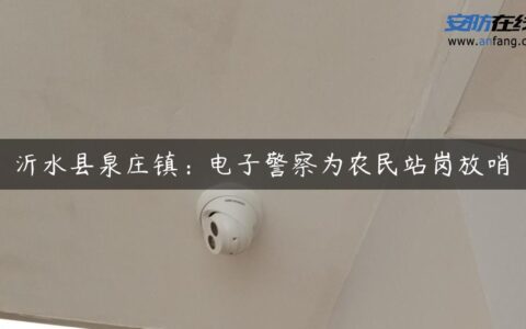 沂水县泉庄镇：电子警察为农民站岗放哨