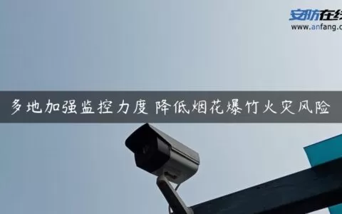 多地加强监控力度 降低烟花爆竹火灾风险