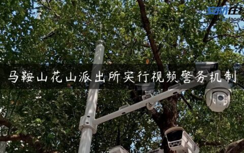 马鞍山花山派出所实行视频警务机制