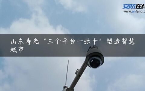 山东寿光“三个平台一张卡”塑造智慧城市