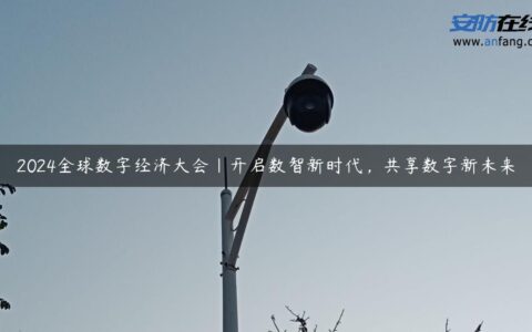 2024全球数字经济大会｜开启数智新时代，共享数字新未来