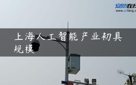 上海人工智能产业初具规模