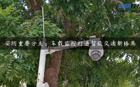 安防重要分支：车载监控打造智能交通新格局