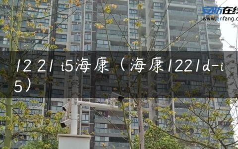 12 21 i5海康（海康1221d-i5）