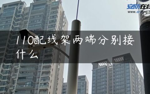 110配线架两端分别接什么