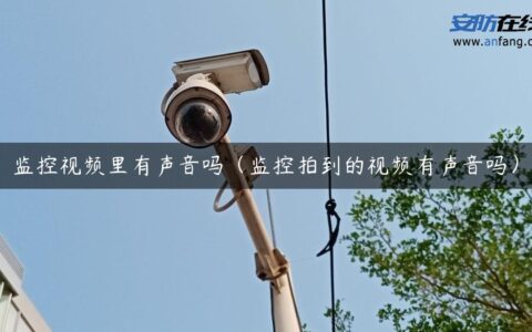 监控视频里有声音吗（监控拍到的视频有声音吗）