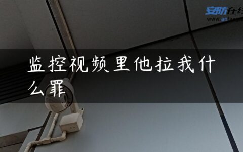 监控视频里他拉我什么罪
