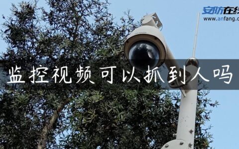 监控视频可以抓到人吗
