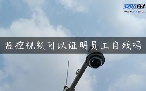监控视频可以证明员工自残吗