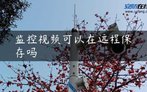 监控视频可以在远程保存吗