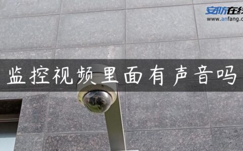 监控视频里面有声音吗