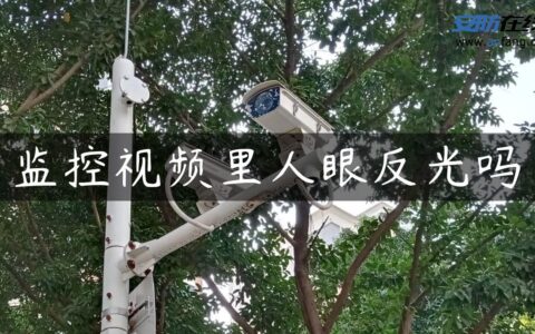 监控视频里人眼反光吗