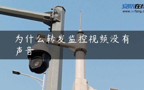 为什么转发监控视频没有声音