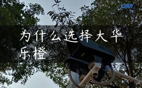 为什么选择大华乐橙