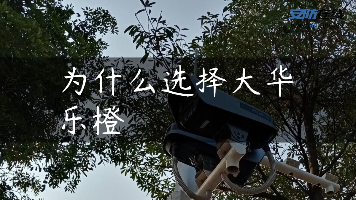 为什么选择大华乐橙