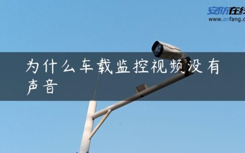 为什么车载监控视频没有声音