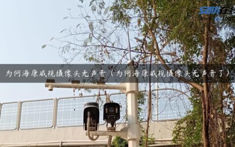 为何海康威视摄像头无声音（为何海康威视摄像头无声音了）