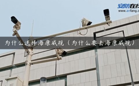 为什么选择海康威视（为什么要去海康威视）