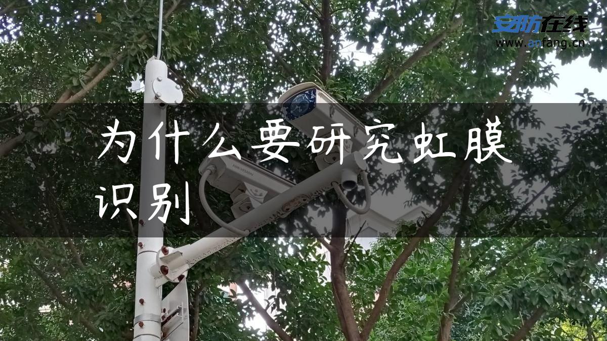 为什么要研究虹膜识别