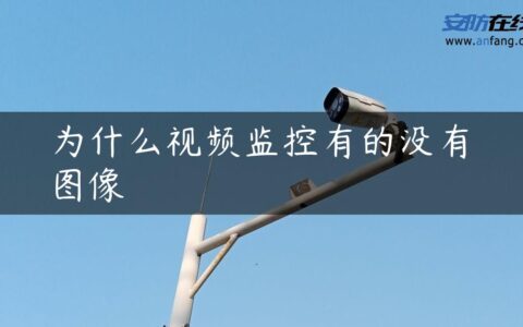 为什么视频监控有的没有图像