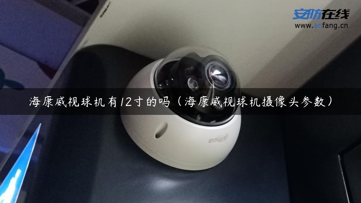 海康威视球机有12寸的吗(海康威视球机摄像头参数) 海康威视球机有12寸的吗(海康威视球机摄像头参数)