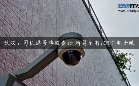 武汉：司机遮号牌被查扣 所驾车有103个电子眼