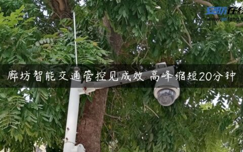廊坊智能交通管控见成效 高峰缩短20分钟