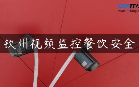 钦州视频监控餐饮安全