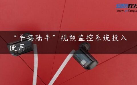 “平安陆丰”视频监控系统投入使用