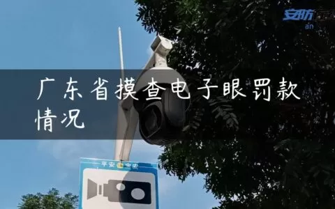 广东省摸查电子眼罚款情况
